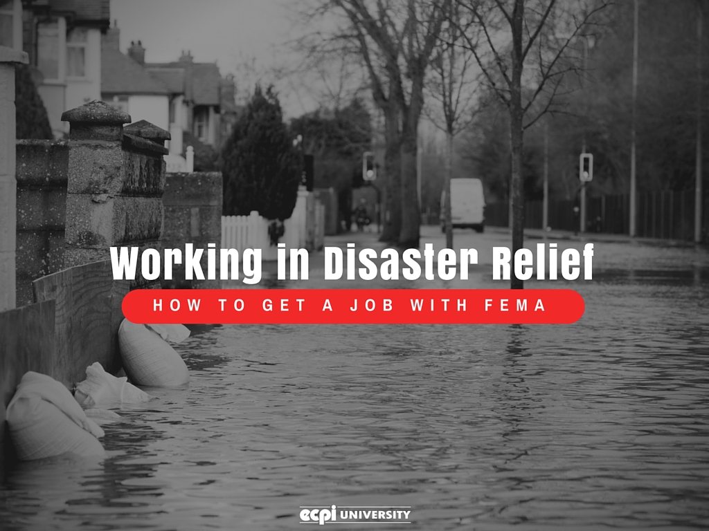 Working In Disaster Relief: How To Get A Job With FEMA